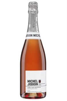 Michel Jodoin