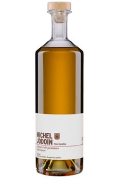 Michel Jodoin Fine Caroline