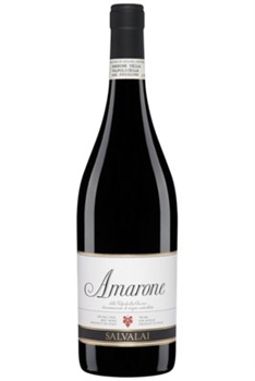 Salvalai Amarone Della Valpolicella 