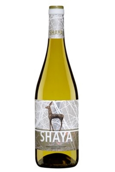 Shaya Verdejo 