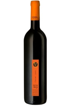 Vitkin Israeli Journey 