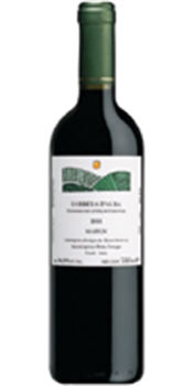 Matteo Corregia Marun Barbera-D'alba 