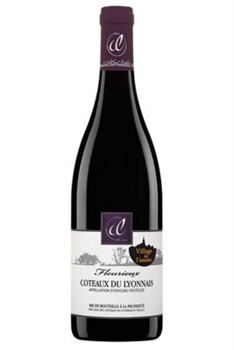 Village De L'année Fleurieux 