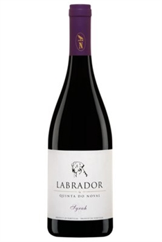 Quinta Do Noval Labrador Syrah 
