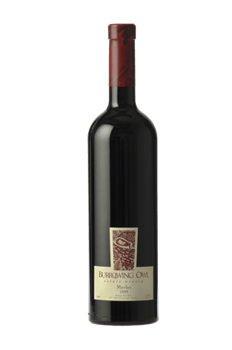 Merlot Burrowing Owl 