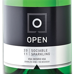 Open Sociable Sparking Vqa