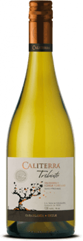 Chardonnay Vignoble Unique Tributo Caliterra 