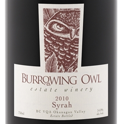 Syrah Burrowing Owl 