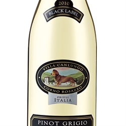 Pinot Grigio Collavini (Igt)