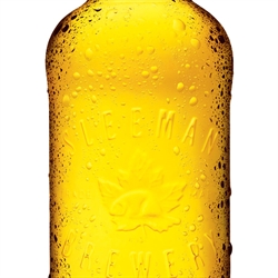 Sleeman Light