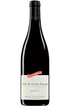 Domaine David Duband Côte-De-Nuits-Villages 