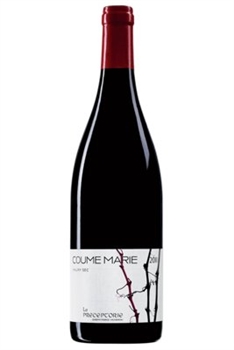 La Préceptorie Coume Marie 