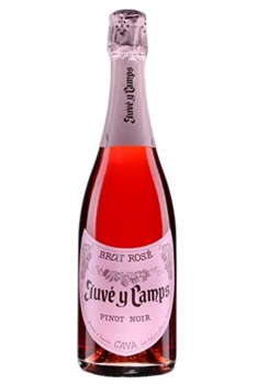 Juvé Y Camps Cava Brut