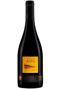 Antu Grenache Syrah Carignan 