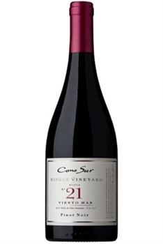 Cono Sur Vision Pinot Noir 