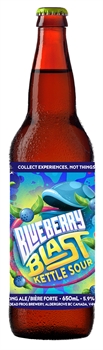 Dead Frog Blueberry Blast Kettle Sour 650Ml