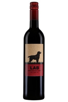 Casa Santos Lima Lab