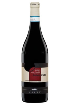 Elvio Cogno Barbera D'alba Pre-Phylloxe 