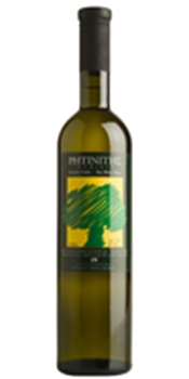 Gaia Ritinitis Nobilis