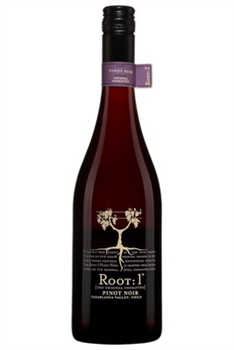Vina Ventisquero Root 1 Pinot Noir
