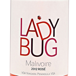 Malivoire Cabernet Franc Ladybug 
