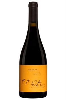 Emma Zuccardi Bonarda Valle De Uco Mendoza 