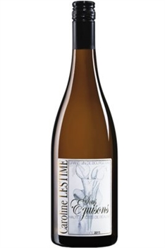 Jean Noël Gagnard Sous Eguison 